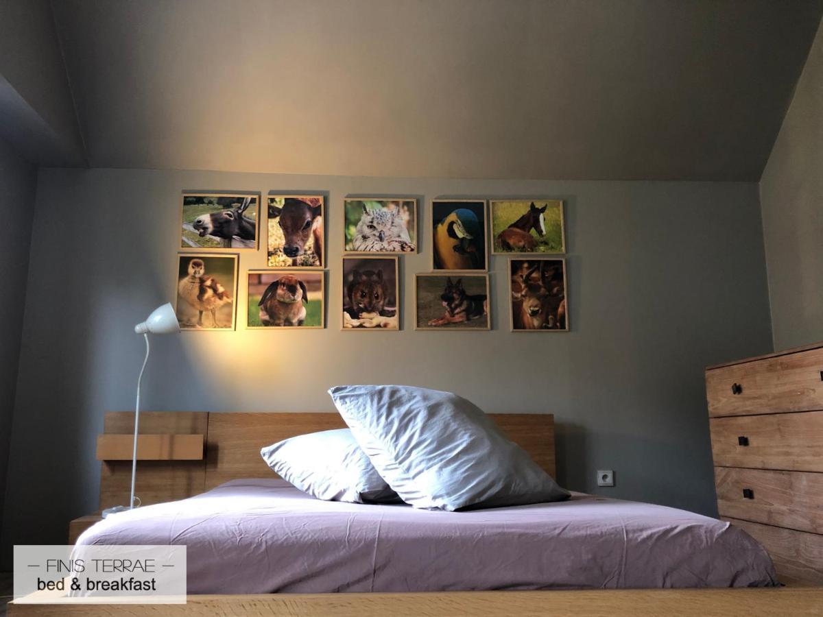 Huis Aan Puyenbroeck Wachtebeke Zewnętrze zdjęcie